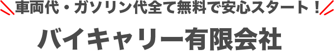 バイキャリー有限会社